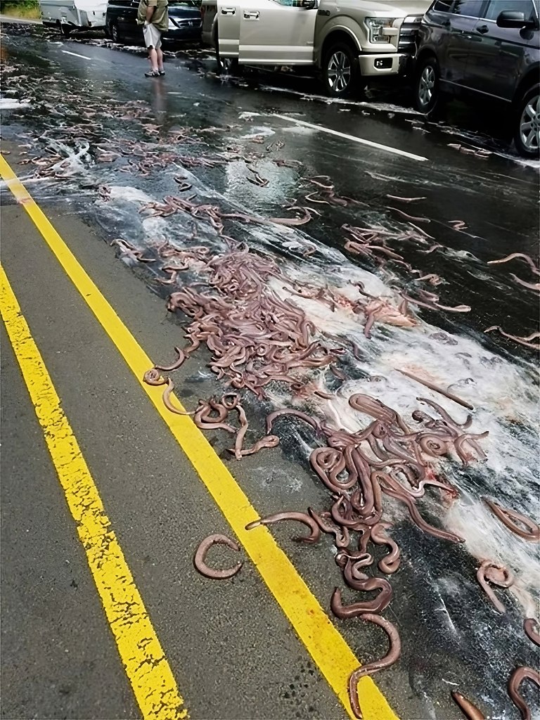  2017-      : ,   3,4  ... - 3