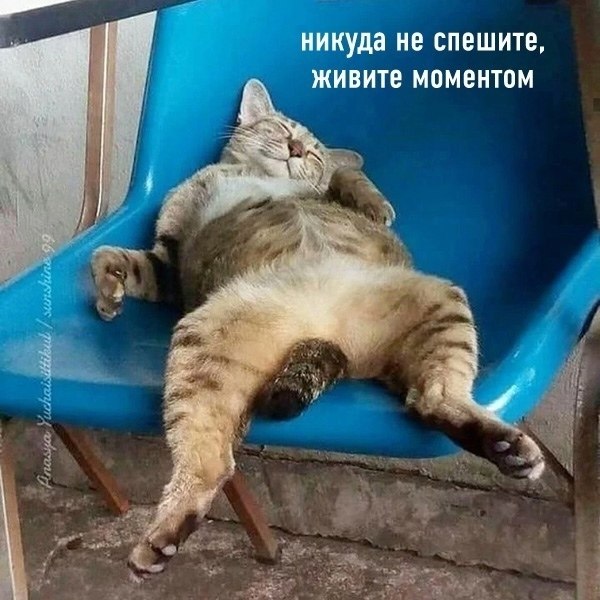   : - 6