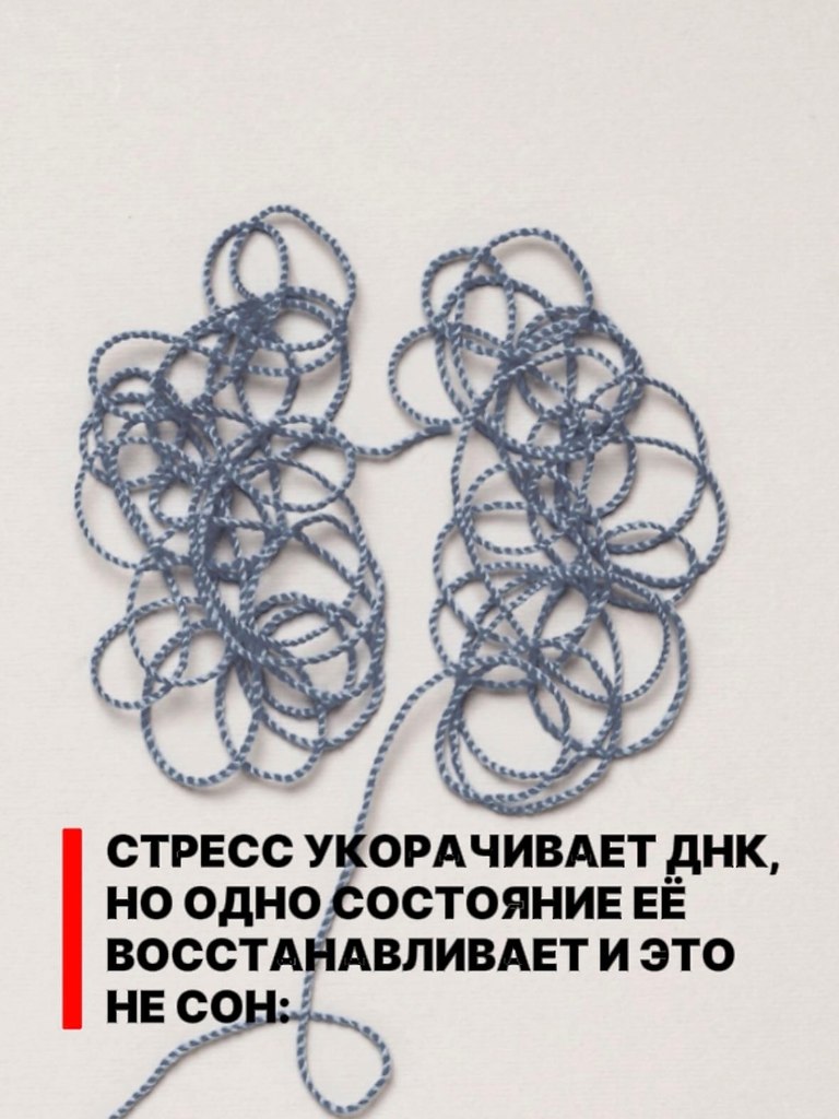 ���� - 7 ������ 2026 � 18:14