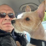 ����, 54 ����, ������