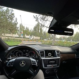 �������, �������, 33 ����