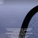 ���� ���������, ���������, 43 ���� - ��������� 6 ������� 2025 � ������ ������ ��������