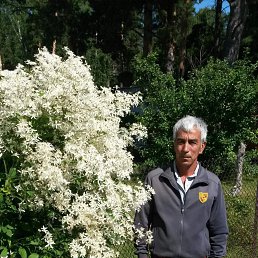 , 54, 