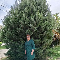 ������� ��������, ������, 58 ���