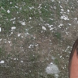 ����������, ������, 44 ����