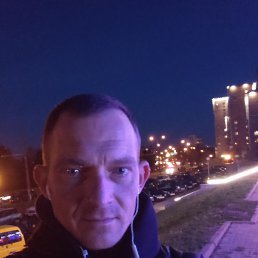 �����, ������, 41 ���