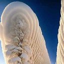 ���� �����, ������ ��������, 37 ��� - ��������� 15 ������ 2024 � ������ ���� ����������