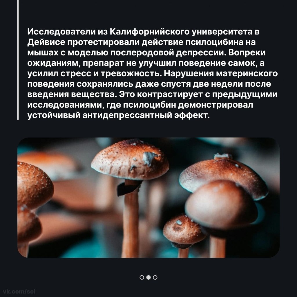 Путешествия | Туризм | Отдых на 5 - 10 октября 2025 в 17:05 - 2