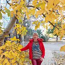 ���� ����, ����, 59 ��� - ��������� 16 ������ 2024 � ������ ���� ����������