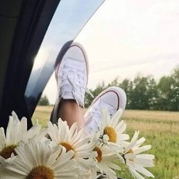 ���� �������, ������� - ��������� 2 ������� 2026