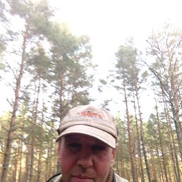 ������ ���������, �����, 47 ���