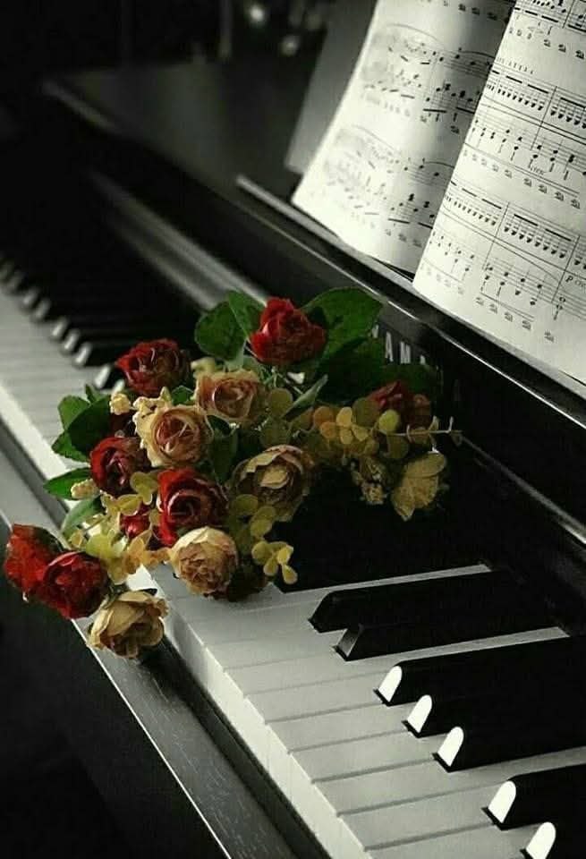 https://fotostrana.ru/away?to=/sl/yJD5 ........................... ...