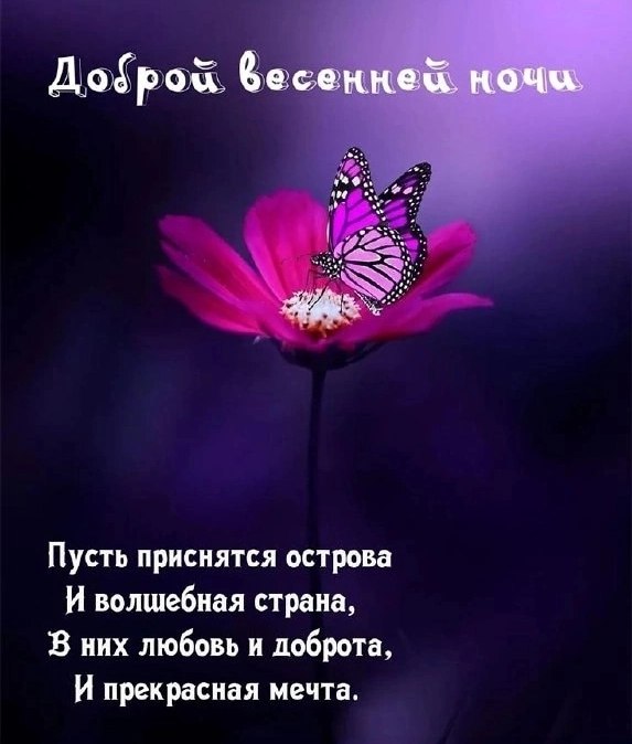   ,    . - 19  2025  17:54