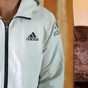 , 37 , 