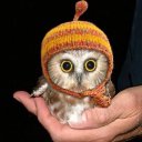 ���� �������, ������, 34 ���� - ��������� 10 ������� 2025 � ������ ���� ����������