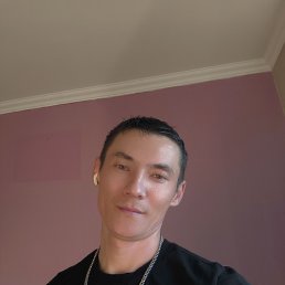 , 37, 