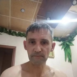 ����, 43 ����, ����������