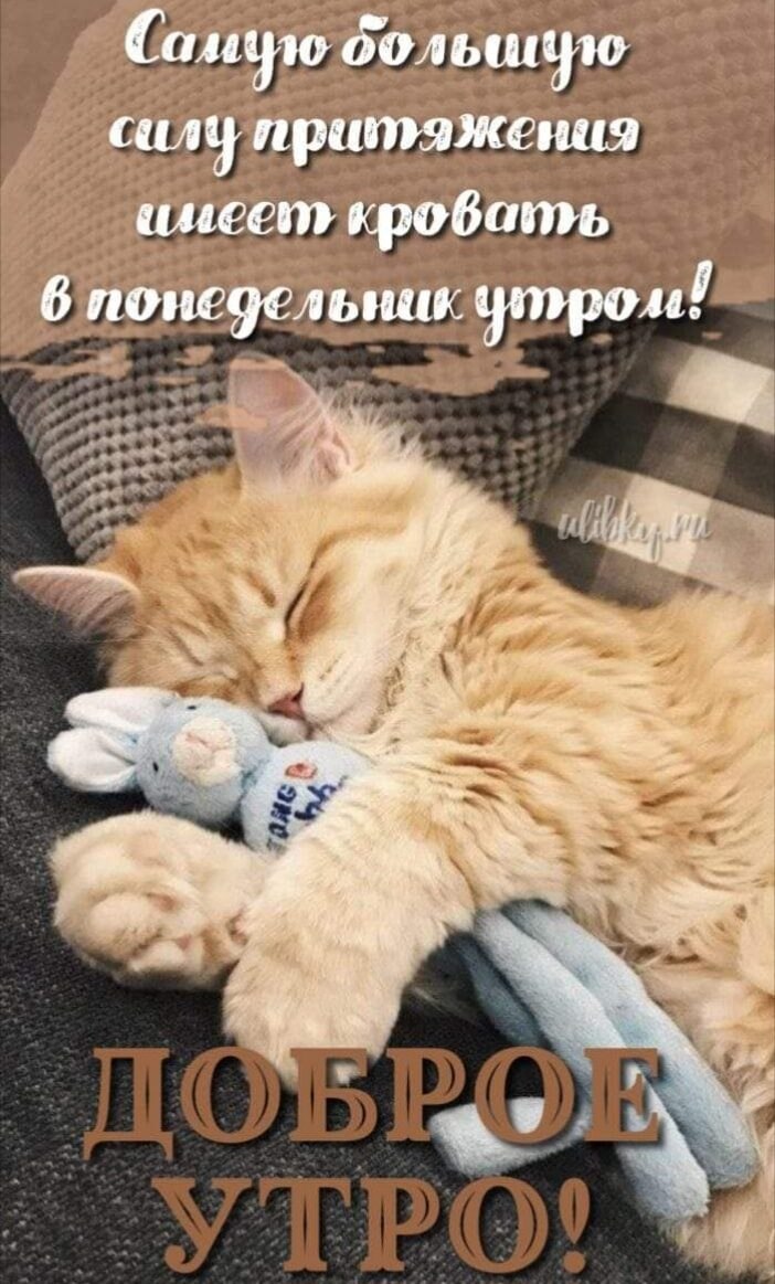 ***Victoria Viktorovna*** - 11  2024  03:53