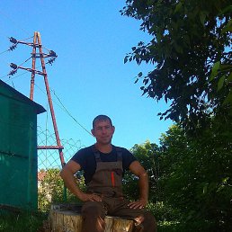 ������, �����, 41 ���