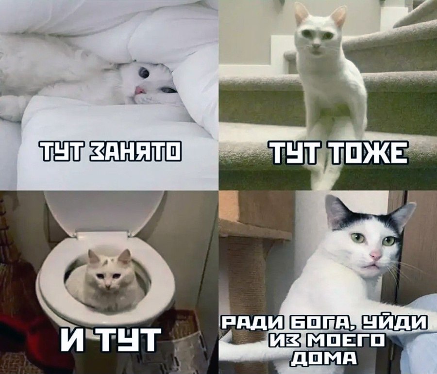   - 8  2025  19:22