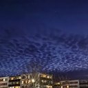 ���� ������, ������� - ��������� 8 ����� 2026 � ������ ������ ��������