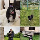 ���� ��������, ������, 61 ��� - ��������� 29 ����� 2024 � ������ ���� ����������