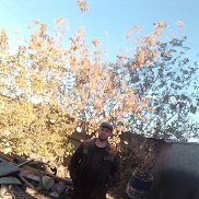 ������� ������, 42 ����, �����