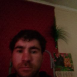 , 33 , 