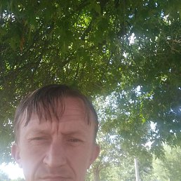 �������� �����, 44 ����, �������