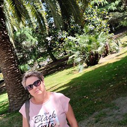 �������, ���������, 55 ���