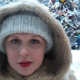 �����, �������, 41 ���