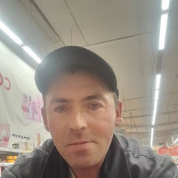 , 49 , 