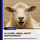 ���� ����, ������� - ��������� 17 �������� 2025 � ������ ������ ��������