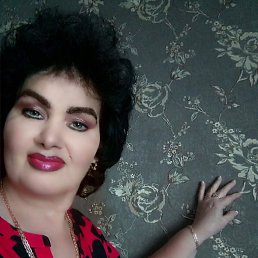 ���� �������, ������, 54 ���� - ��������� 15 ������� 2026