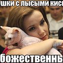 ���� �����, ������������, 54 ���� - ��������� 12 ��� 2025 � ������ ���� ����������