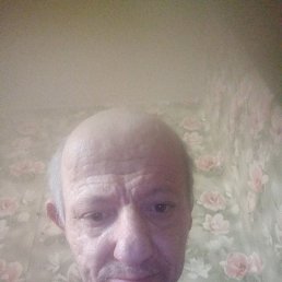 , 58, 