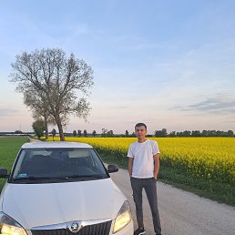 , 29, 