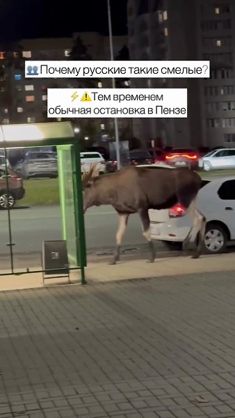 � ��� ��� ������ - 2