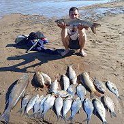 ����� �������, 38 ���, �����������