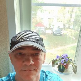 , 51, 