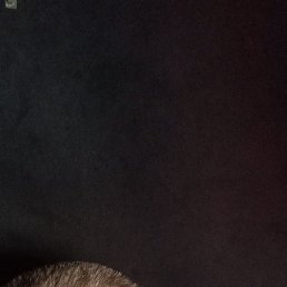 , 35, 