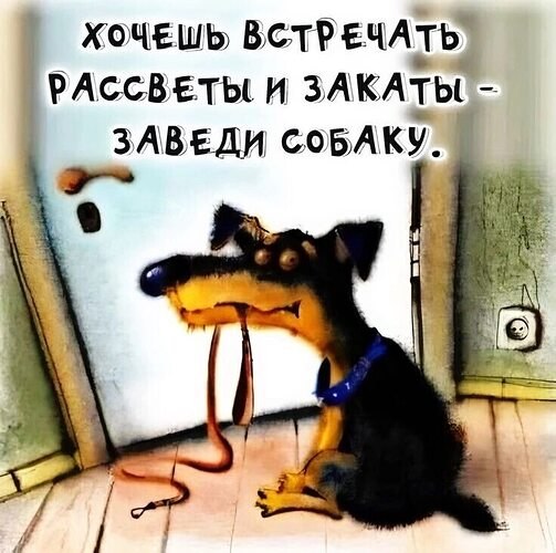   ! - 9  2025  21:49