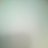 ���� Aryan, �����������, 20 ��� - ��������� 19 ��� 2026