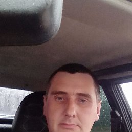 , 41, 