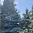 ���� ����, ��������, 54 ���� - ��������� 11 ��� 2026