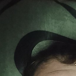 �������, ������, 37 ���