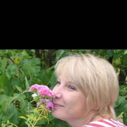 , 53, 