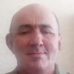 ������, ���������, 55 ���