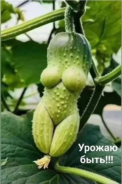     ,  ,      ,   ... - 5
