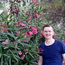 ���� ����, ������������, 40 ��� - ��������� 29 ����� 2025 � ������ ���� ����������